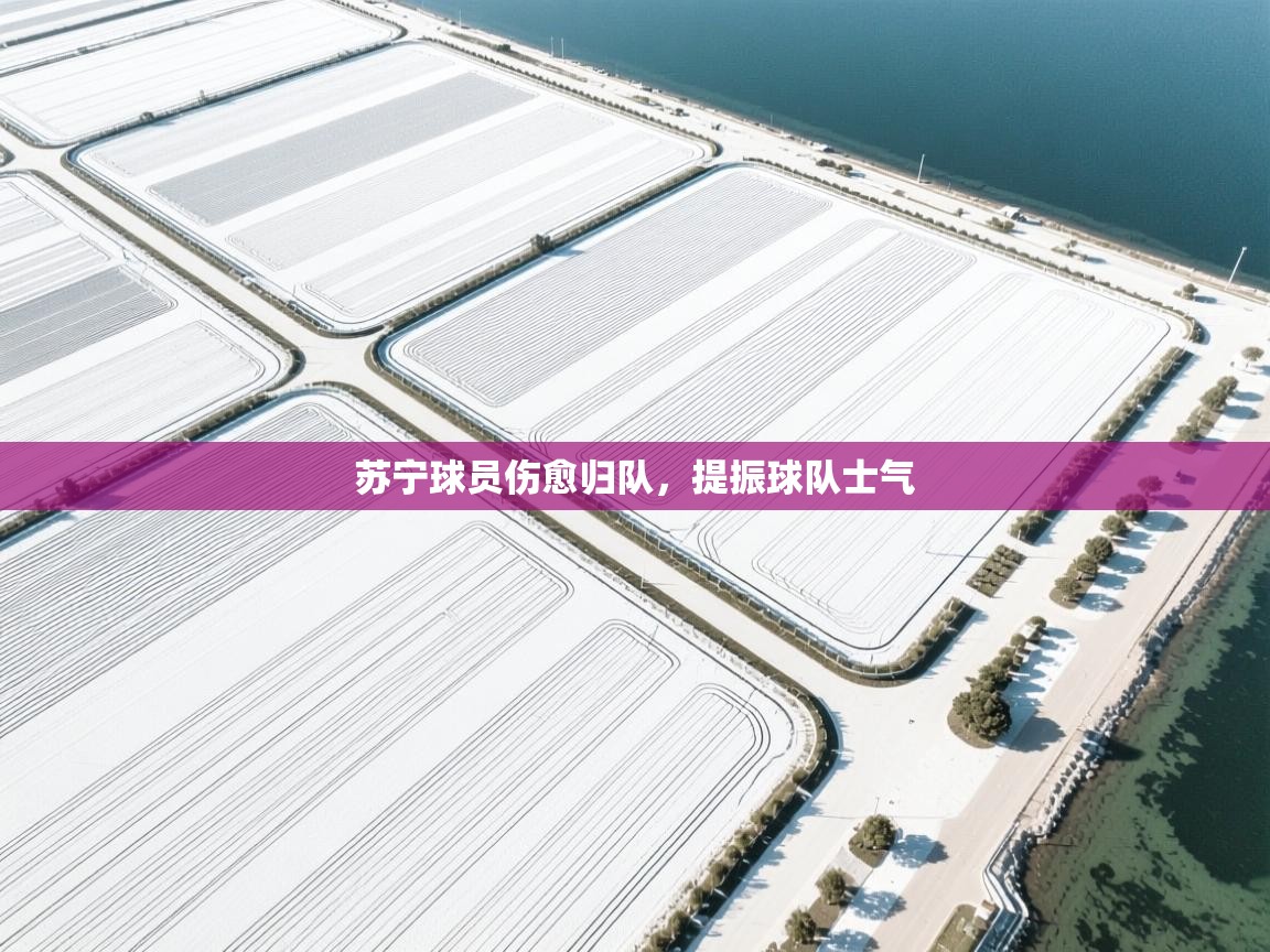 苏宁球员伤愈归队，提振球队士气