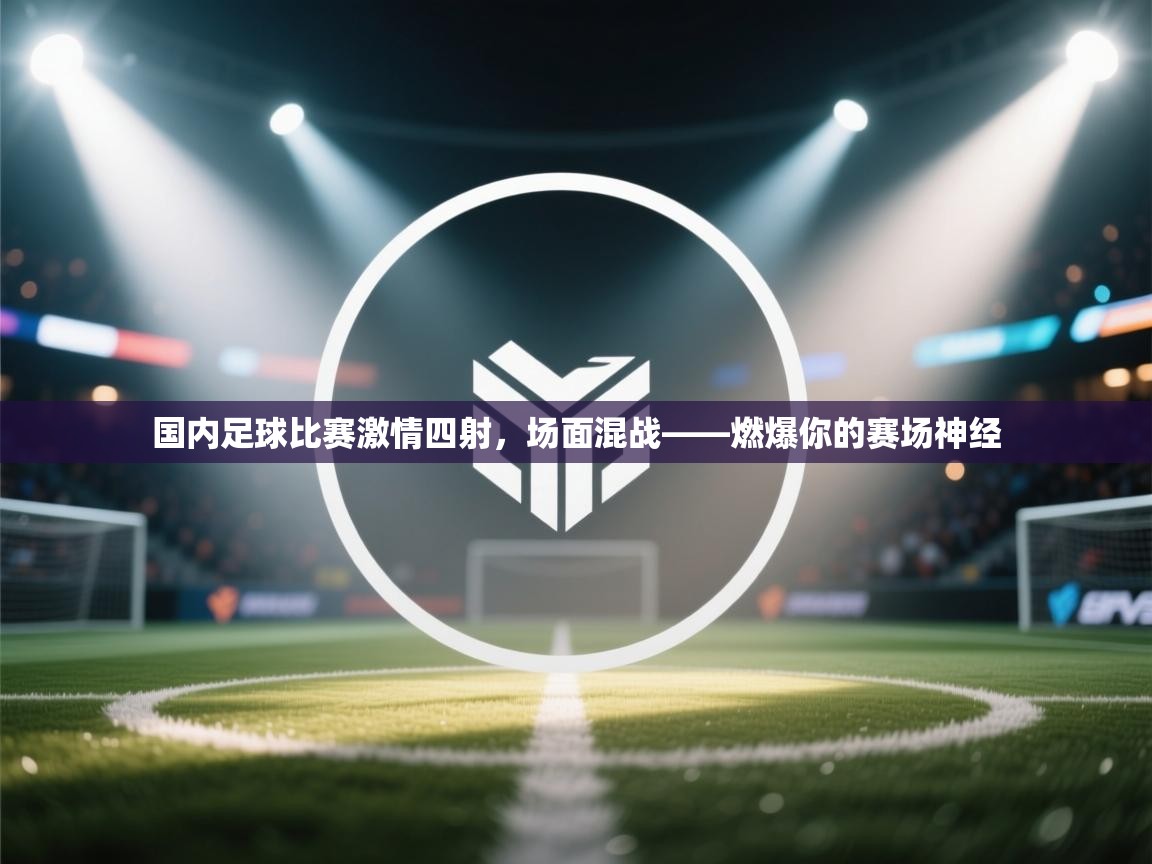 国内足球比赛激情四射,场面混战——燃爆你的赛场神经 第2张