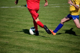 澳亚国际手游官网-曼联签下巴黎圣日耳曼前锋！将成为世界十大顶级俱乐部强力前锋